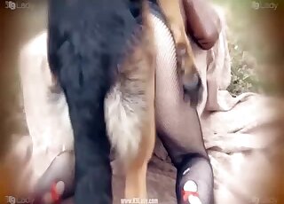 Crazy Animal Sex