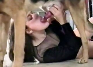 Perverse chick with dark hair sucks dog dick here