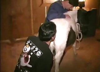 Sexy pony showcasing its awesome booty here