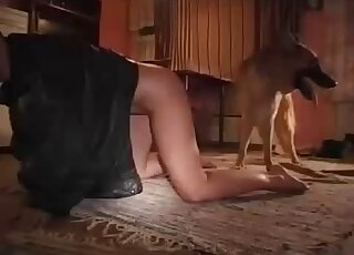 Mongrel's dick nicely sucked by a sensual angel