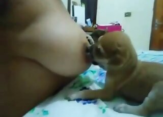 Puppies suck on her milky boobs, HOT MOM XXX