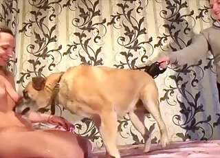 Big tits babe enjoying hot humping with a doggo