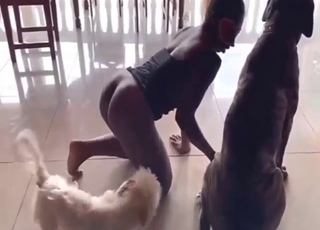 Cuckold records the way his wife fucks a dog