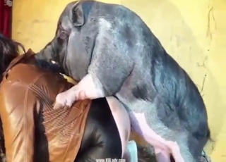 Big-dicked pigs tearing apart her white vag