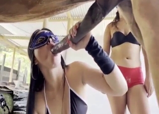 Horse cock pleasure with two women who cum
