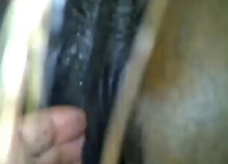 Fisting fuck with a very wet mare that cums