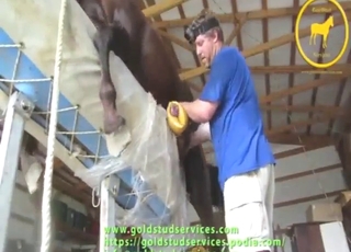 Bestiality handjobs with a sexy animal CUMMING