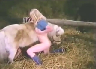 Suck a fat pony cock to get that horse horny