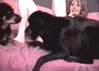 Horny slutty honey has two black dogs to tease