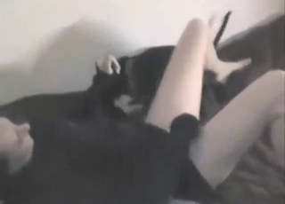 Their bed is shaking as this dog fucks a hottie