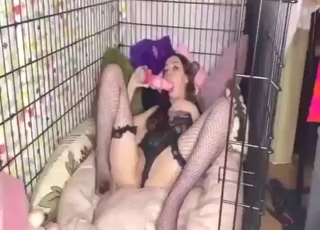 Good-looking babe wants dog dick inside her