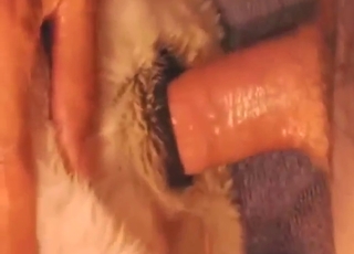 Submissive dog bitch wants that finger inside