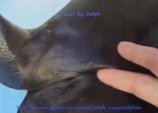 Dude is going to finger-fuck a slutty SEAL