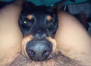 Dude almost crushing that head during a BJ