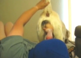 BJ bestiality porn with fellatio, passionate sex