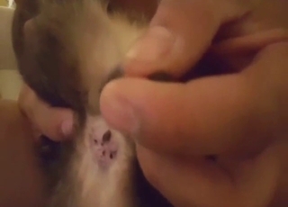 Hot cat fuck with close-ups, seductions, and more