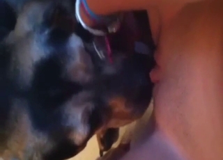 Teenage hottie gets her 18YO pussy dog-licked