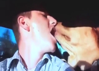 Dude is happy to kiss his brown dog in the car