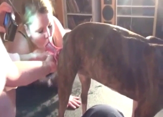 Zoo porn shows a sexy lady licking a dog's dick