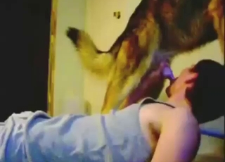 कुत्ते का लिंग चूसने वाले लड़के के साथ बेस्टियलिटी सेक्स सीन