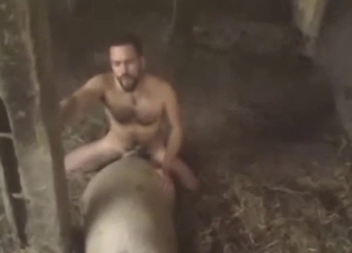 Zoophile porn scene with a hung dude and a beast