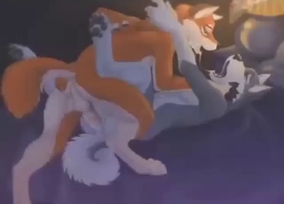Zoo sex scene with furry animals cumming hard