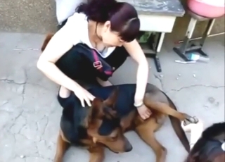 Chinese zoo-freak jerking dog cock happy