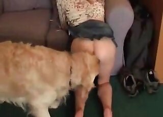 Watch a chick enjoying a sex with her puppy
