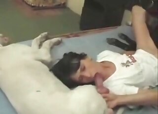 She loves sucking dog boners