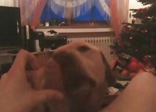 Impressive blowjob by a kinky beast