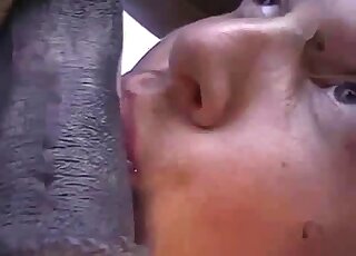 A good-looking bald lover is sucking a horse penis