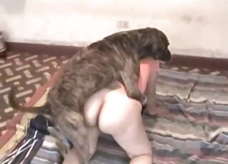 A fat man is getting his ass fucked by a nice doggy