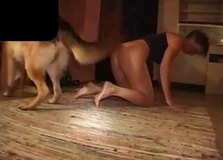Chubby amateur zoo slut likes dog porn