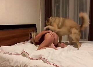 Aesthetic hottie gets screwed from behind