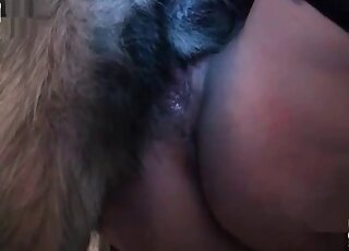 Animalistic loving with a good-looking gal in HD